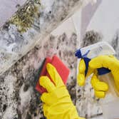 Photos by City of Bridges Mold Inspection #1