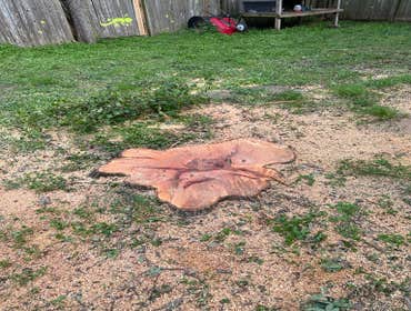 Photos by Naranjal Tree Service LLC #1