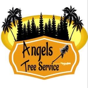 Photos by Angels Tree Service #1