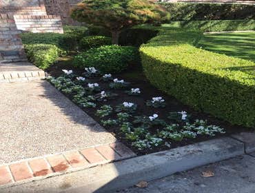 Landscaping
