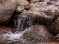 Photos by Closer to Nature Landscape LLC #1
