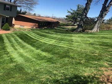 Photos by Beautiful Creations Lawn & Landscaping #1