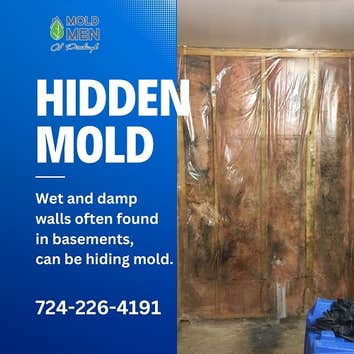 Mold Men of Pittsburgh