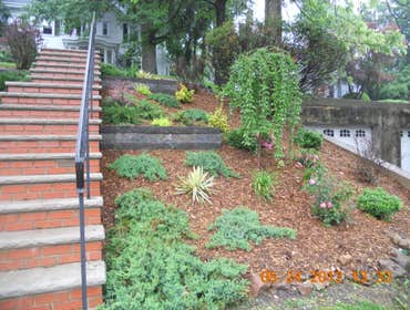 Slopside Planting At the top of the slope we installed a French Drain to catch the water running down the hill