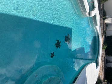 Pool Remodel