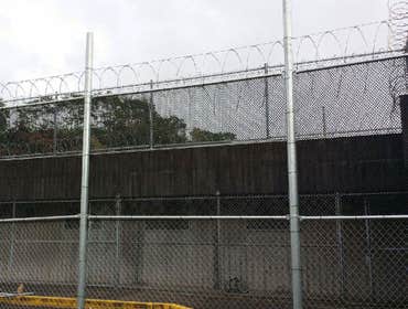 Chainlink Fence