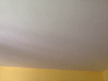 Photo(s) from Alba Painting LLC