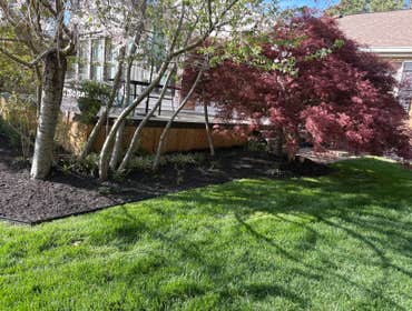 Photos by Beauty Meister Landscaping LLC #2