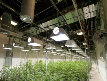 Grow Photos