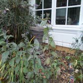 Project photos from Devine Escapes