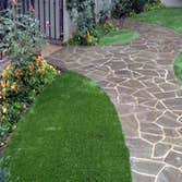 Earth Design Landscape