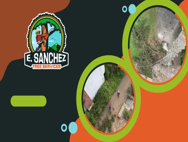 Photos by E. Sanchez Tree Services #2