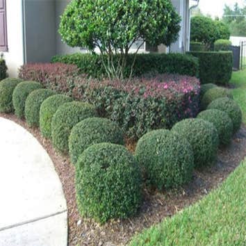 Landscaping We have a knowledgeable staff that is equipped to maintain your properties and service your needs from top to bottom. We are a complete in-