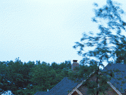 Landscape Lighting