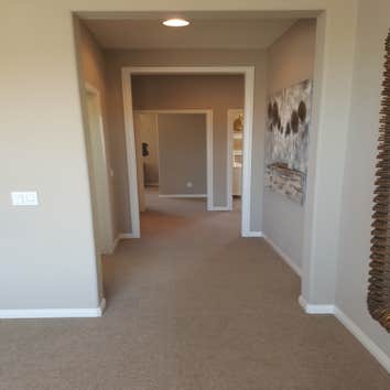 Interior custom painting