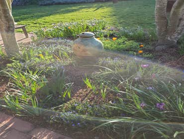 Photos by Tuyub Landscaping #33