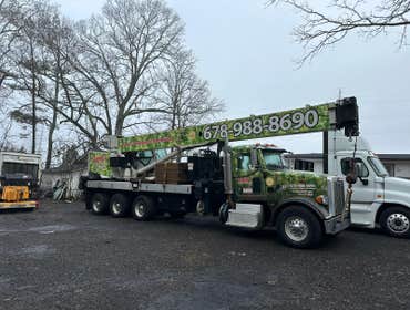 Photos by Danilo's Professional Tree Service & Landscaping #3