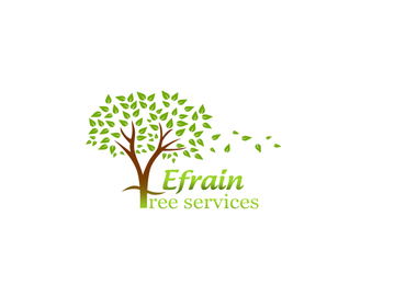 Photos by Efrain Tree Services #1