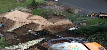 Photos from Gaea Tree Service & Roofing Some jobs we did, removals , view clearance and trees ove houses