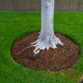 Morrison Property Maintenance & Landscape Group
