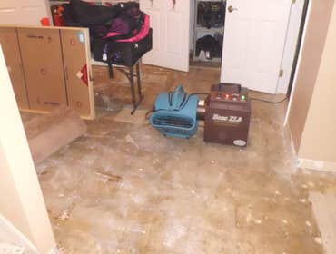 Odor Removal