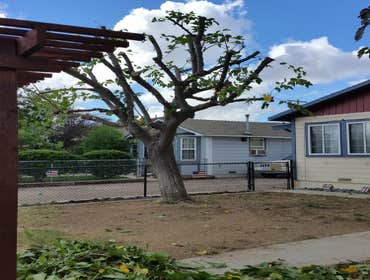 Photos by Estates Tree Service #1