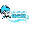 Scr Northern Division logo
