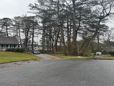 Photos by Kings Tree Service & Landscaping Co #16