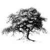 JW Custom Landscaping Inc logo