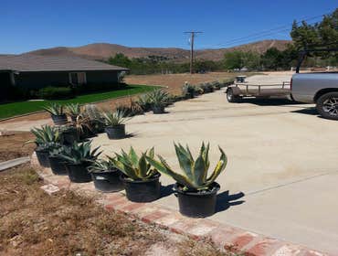 Photos from Sun Up Till Sun Down Landscaping Completed jobs