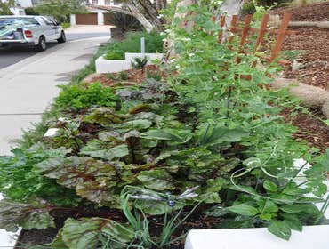 Landscaping