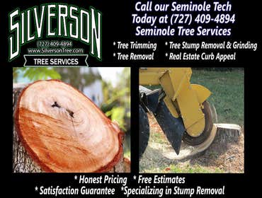 Photos by Silverson Tree Services #1