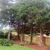 Photos by Kings Tree Service & Landscaping Co #3