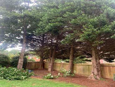 Photos by Kings Tree Service & Landscaping Co #3