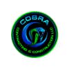 Cobra Contracting & Construction LLC logo