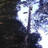 Photos from TreePro Professional Tree Care