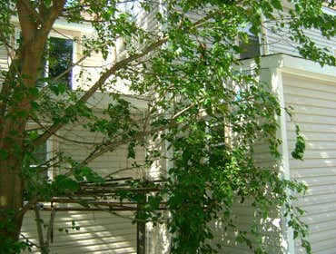 Siding Lynbrook
