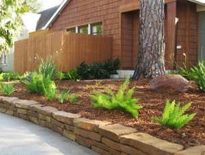 Projects by Landscape Update Company Houston Residential Design | Updating Installation