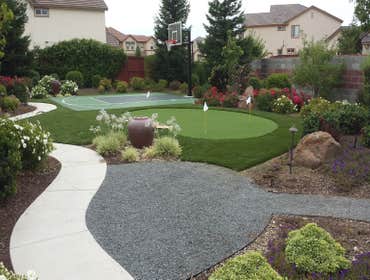 Complete Back yard Renovation