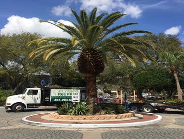 Photos by Flynn's Tree Pros #1