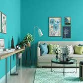 The Painting Company Of Miami