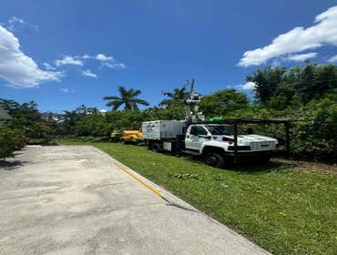 Photos by Arbobella Tree Service #1