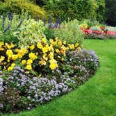 Photos by John Ideal Lawn and Landscapes #1
