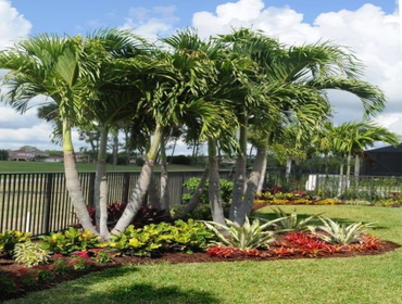 Photos by B&c Fruit Trees & Landscape LLC #1