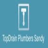 Topdrain Plumbers Sandy logo