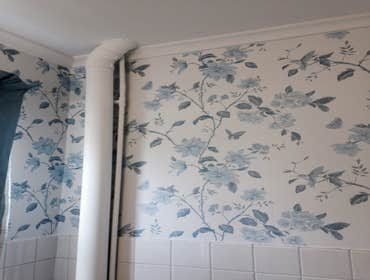 Wallpaper Bathroom Remodel