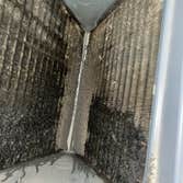 Photos by Affordable Mold Testing & Assessments #3