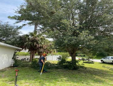 Photos by Arbobella Tree Service #1
