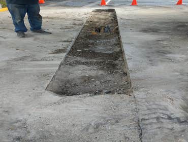 Photos by Dynamic Removal Services #1