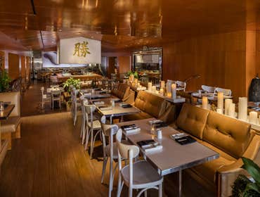 Katsuya Brentwood
